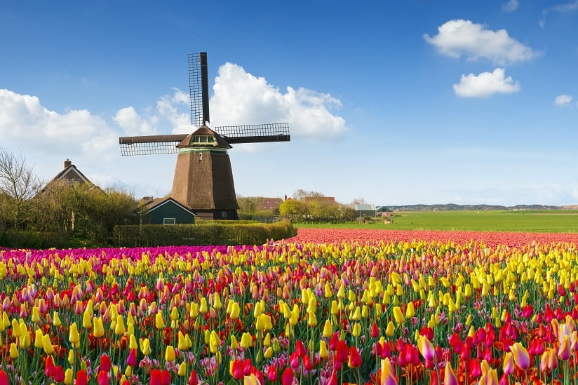 Tax credits in Holland